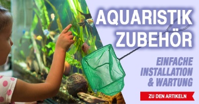 Aquarium accessories Aquarium accessories
