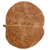 Hobby Orchid Tree Leaves