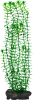 Tetra DecoArt Plantastics Anacharis
