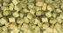 Tropical FD Brine Shrimp