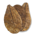 Arka mySCAPE Catappa Leaves