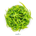Dennerle Helanthium tenellum ´Broad leaf´ In-Vitro Cup