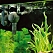 EHEIM aquaball Powerhead 650 -1212-