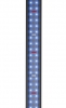 EHEIM powerLED+ marine actinic