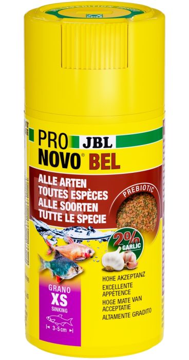 JBL ProNovo Bel Grano XS