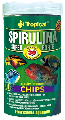 Tropical Super Spirulina Forte Chips Tropical Super Spirulina Forte Chips