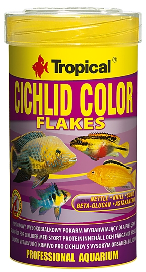 Tropical Cichlid Color Tropical Cichlid Color