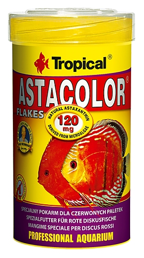 Tropical Astacolor Tropical Astacolor