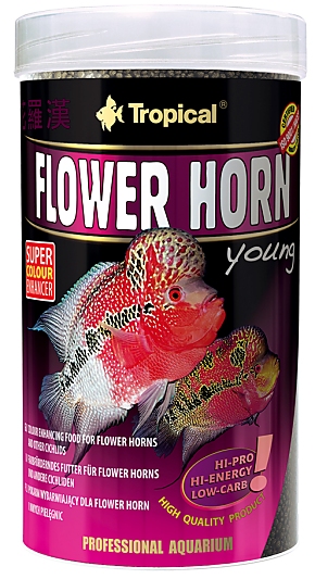 Tropical Flower Horn Young Pellet Tropical Flower Horn Young Pellet