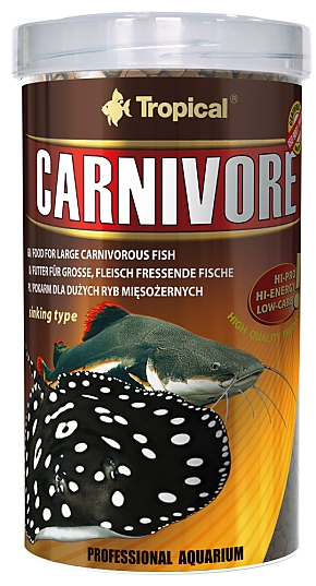 Tropical Carnivore Tropical Carnivore