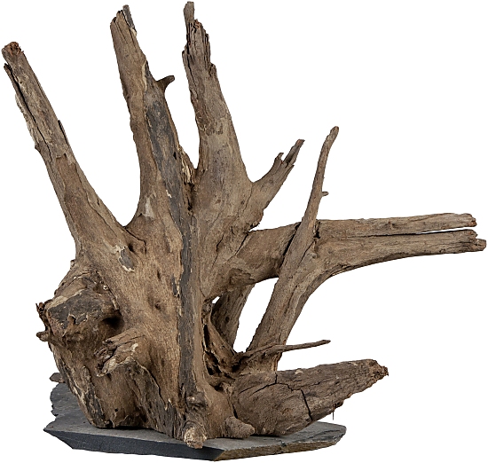 sera Scaper Wood -Dekorationswurzel- sera Scaper Wood -Dekorationswurzel-