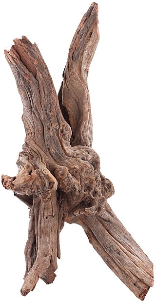 sera Drift Wood -Dekorationswurzel- sera Drift Wood -Dekorationswurzel-