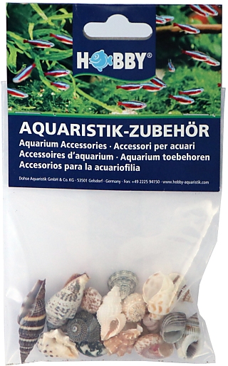 Hobby Sea Shells Set Hobby Sea Shells Set