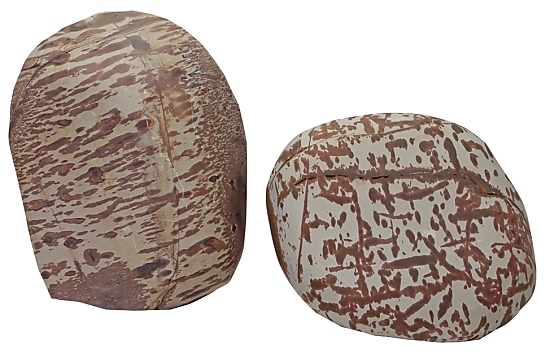 Hobby Cattle Rock Hobby Cattle Rock