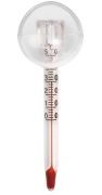 Nano-Thermometer